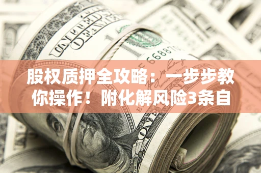 北京股权质押全攻略：一步步教你操作！附化解风险3条自救法则