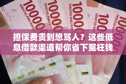 北京担保费贵到想骂人？这些低息借款渠道帮你省下冤枉钱