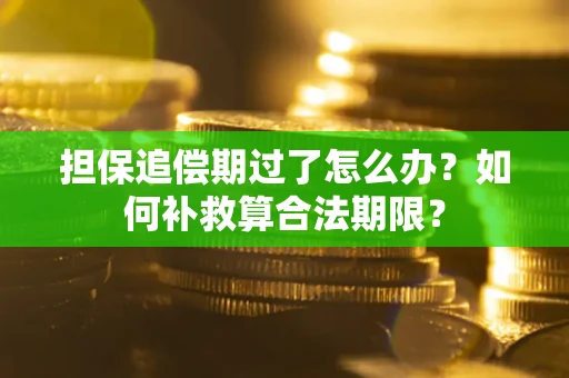 北京担保追偿期过了怎么办？如何补救算合法期限？