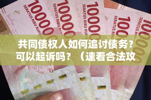 北京共同债权人如何追讨债务？可以起诉吗？（速看合法攻略）